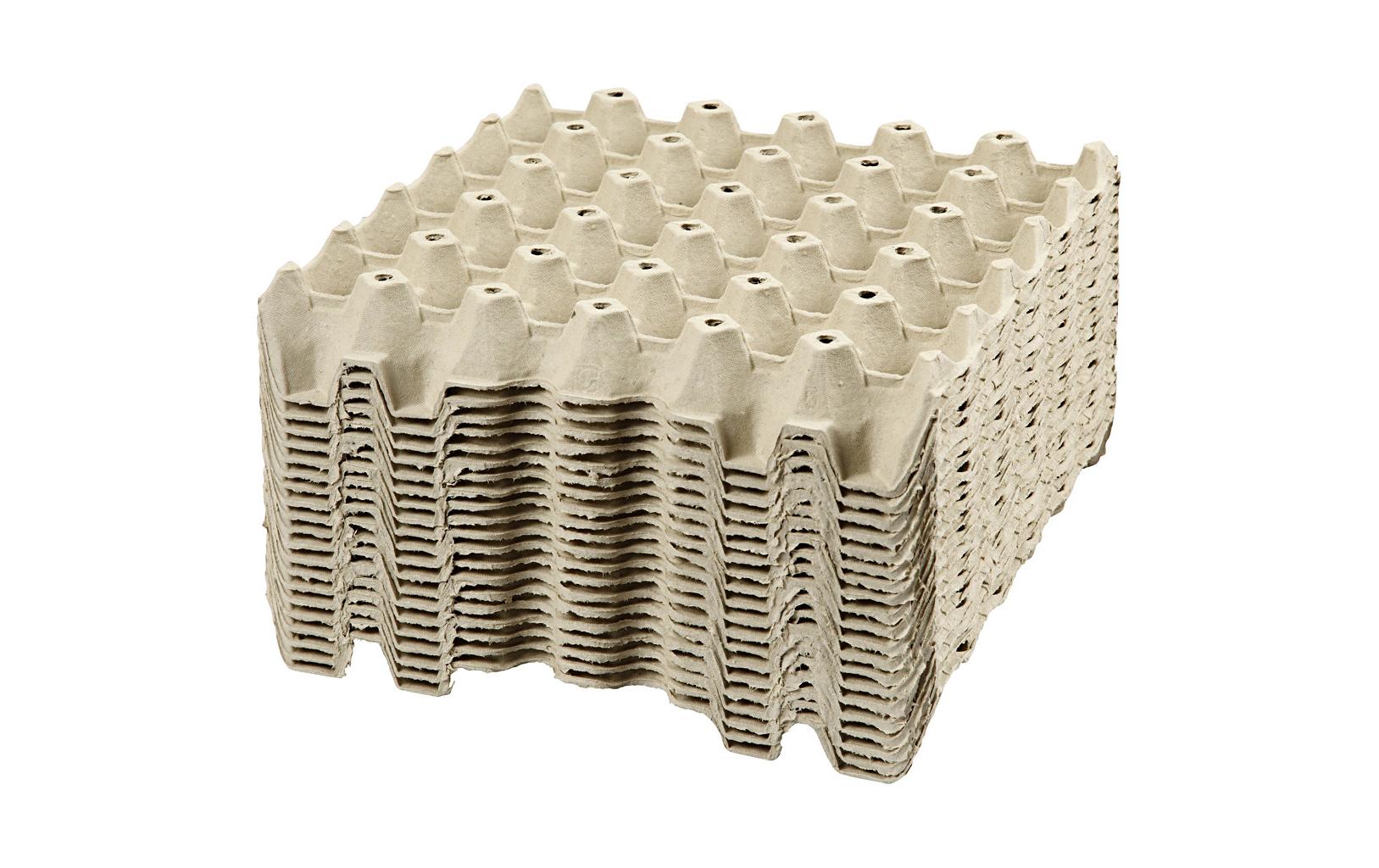 Creativ Company Papp-Schachtel Eier 29 x 29 x 4 cm 20 Stück Creativ Company Papp-Schachtel Eier 29 x 29 x 4 cm 20 Stück