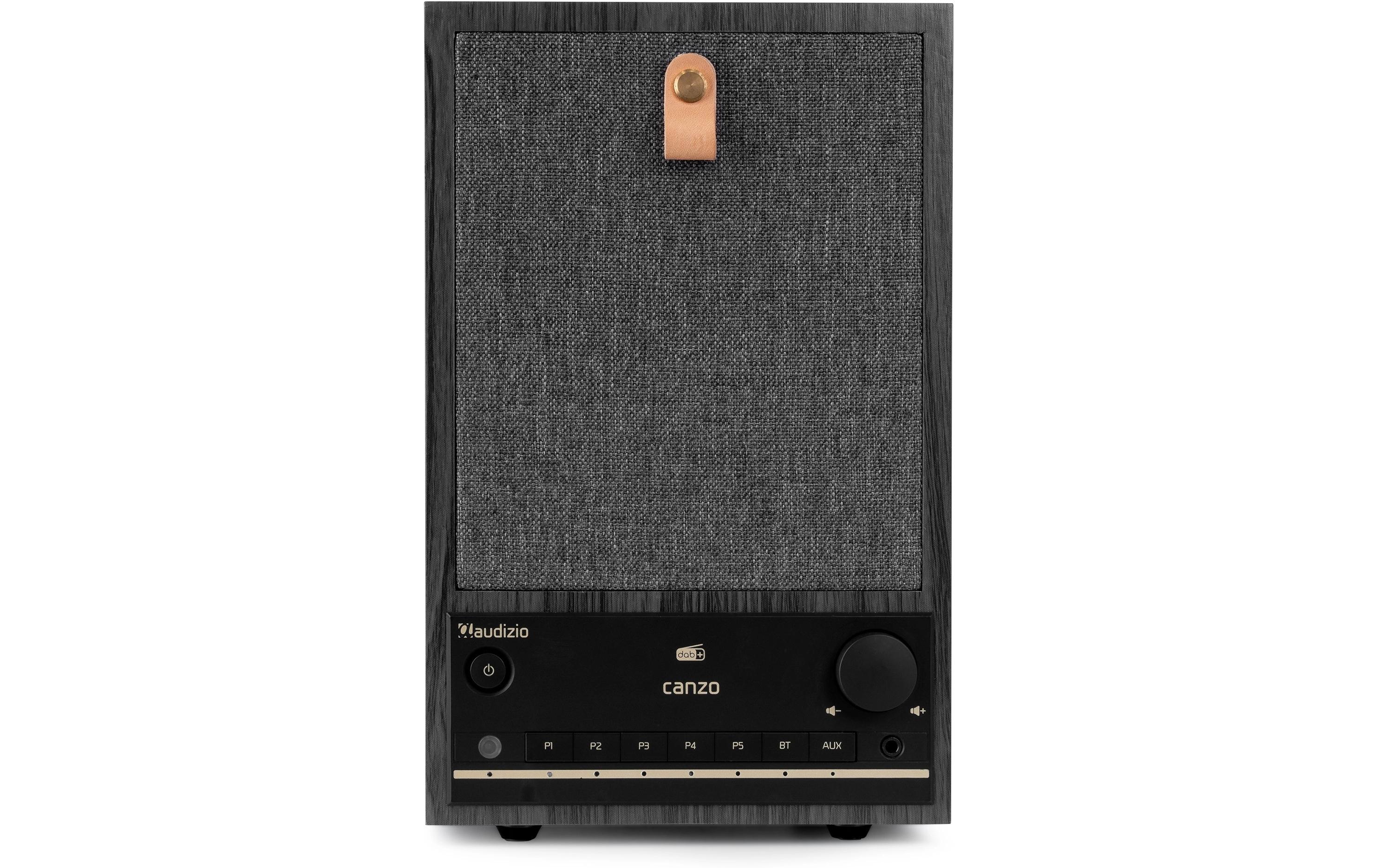 Audizio Internet Radio Canzo Dunkelgrau