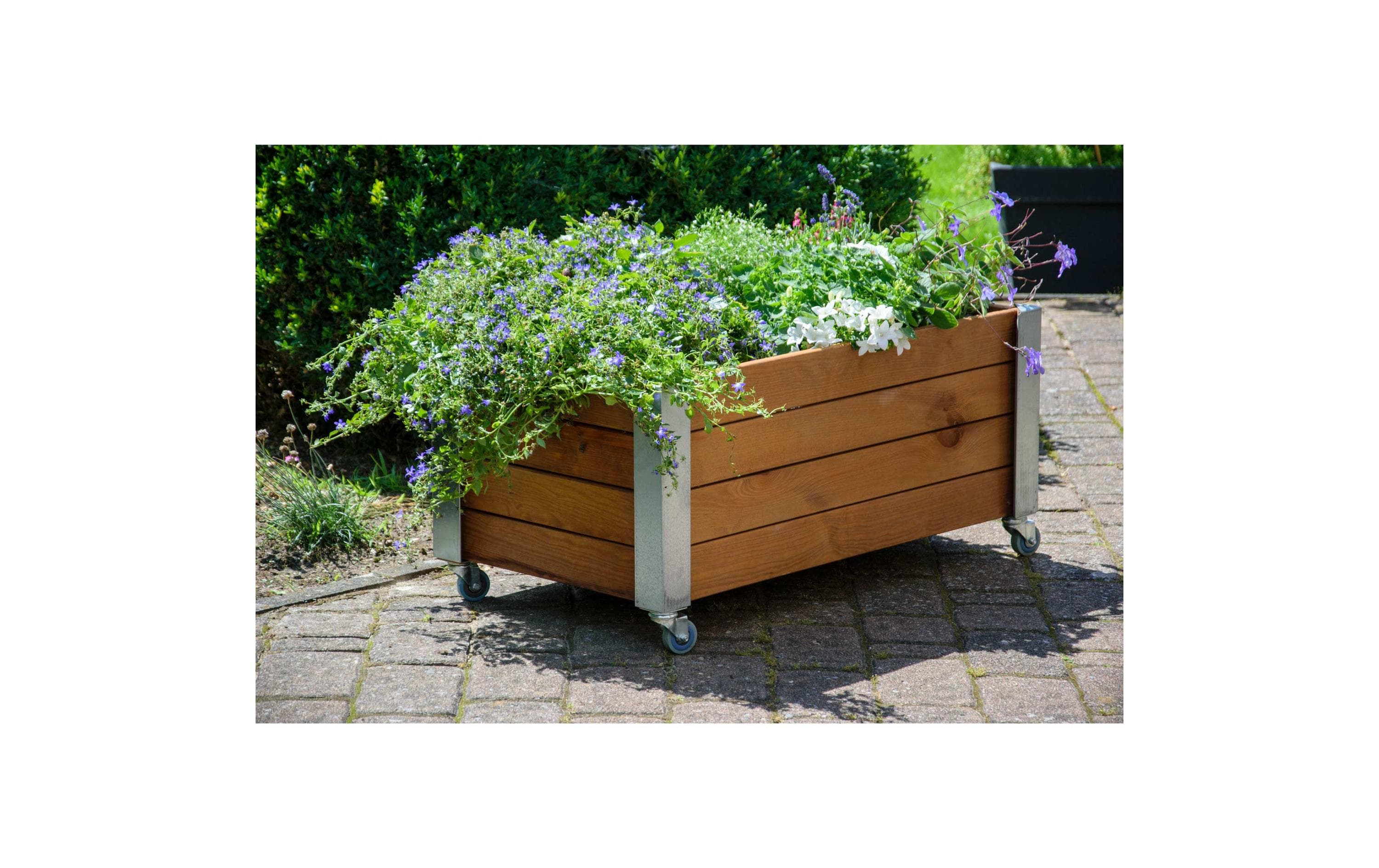 dobar Hochbeet «Rollfi» aus Holz mit Rollen