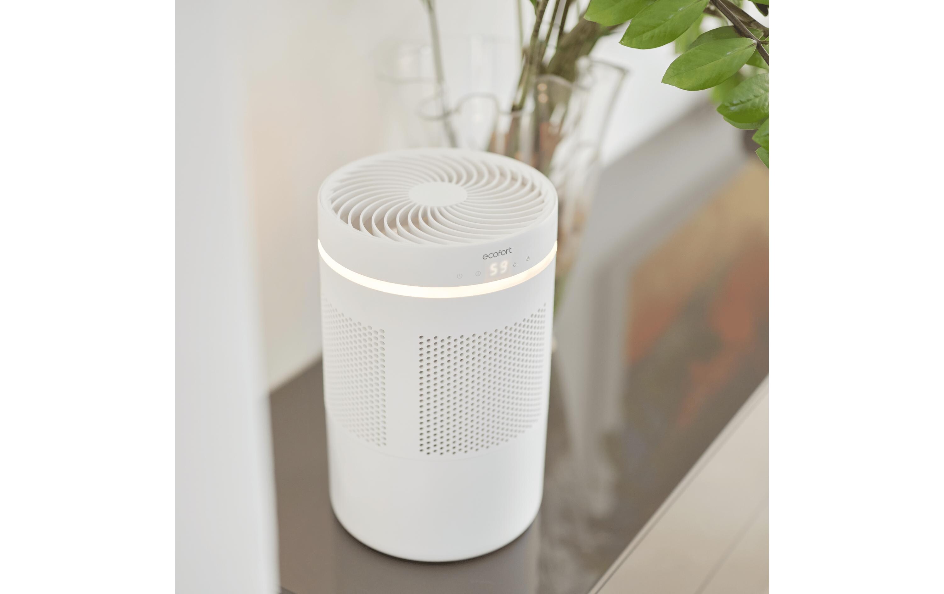 Ecofort Luftbefeuchter ecoQ HumidAir E300 Ecofort Luftbefeuchter ecoQ HumidAir E300