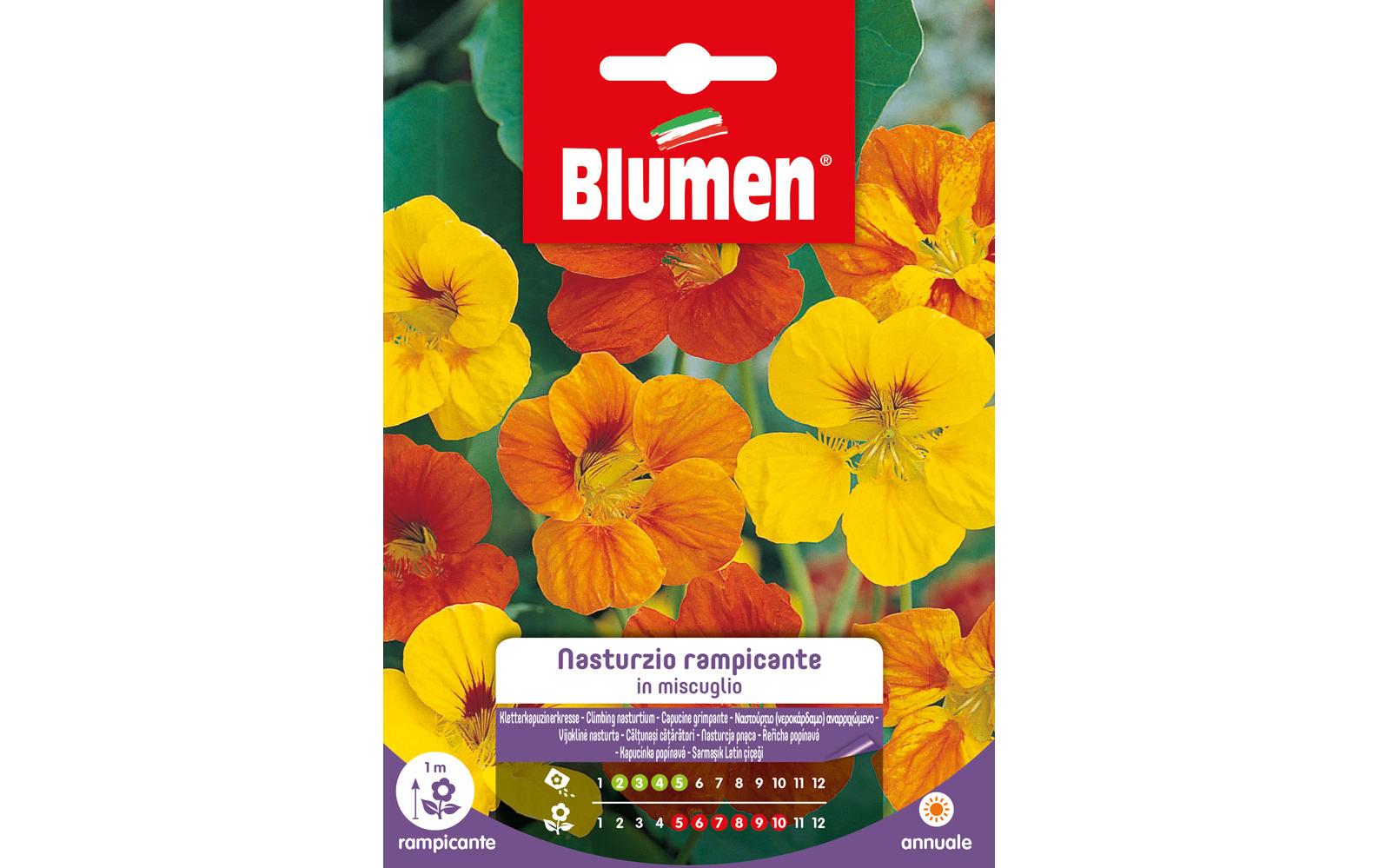 Blumen Saatgut Kletterkapuzinerkresse Mix Blumen Saatgut Kletterkapuzinerkresse Mix