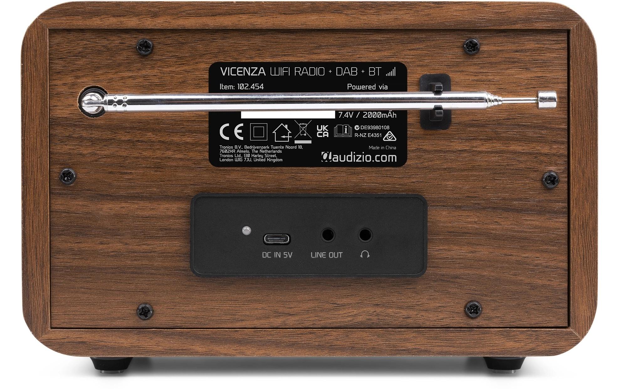 Audizio DAB+ Radio Vicenza Braun