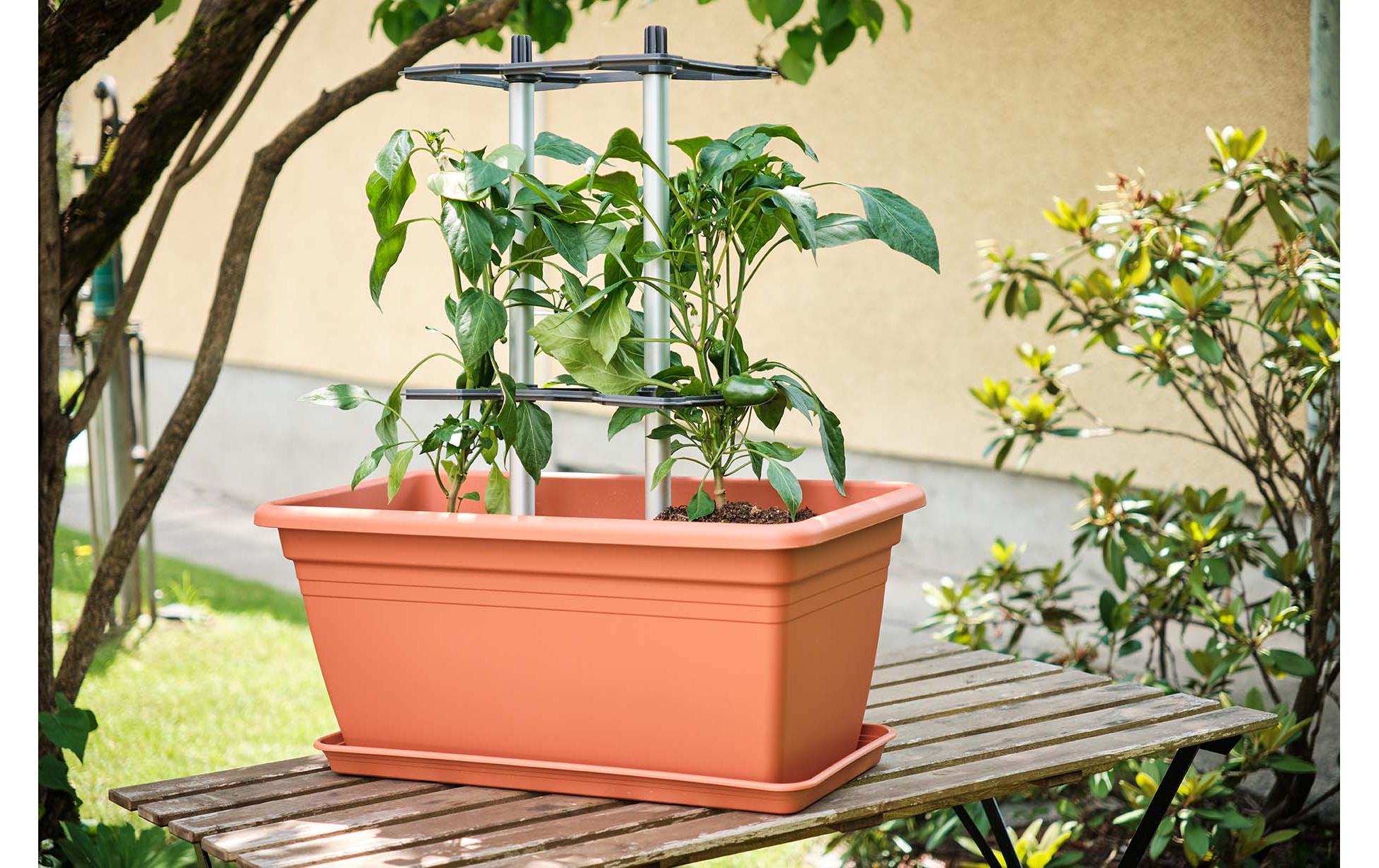 Gusta Garden CHILI BUDDY Rankhilfe für Chilis & Paprika im 3er Set Silber