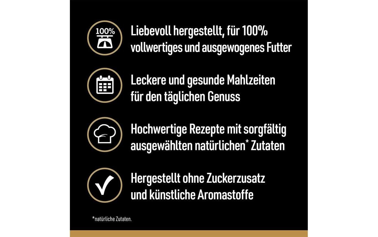 Cesar Nassfutter Landragout 4 Varietäten 24 x 150 g