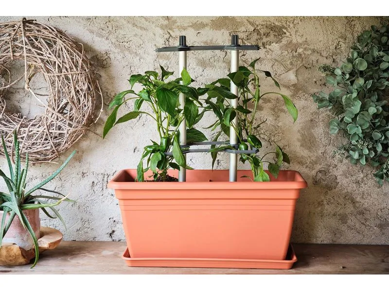 Gusta Garden CHILI BUDDY Rankhilfe für Chilis & Paprika im 3er Set Silber