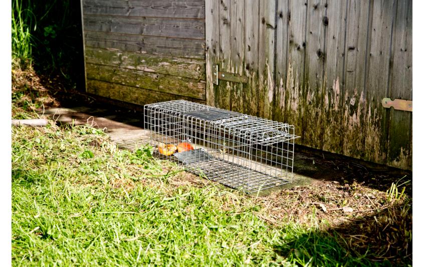 Windhager Marderfalle Drahtkasten 60 cm x 18 cm x 20 cm