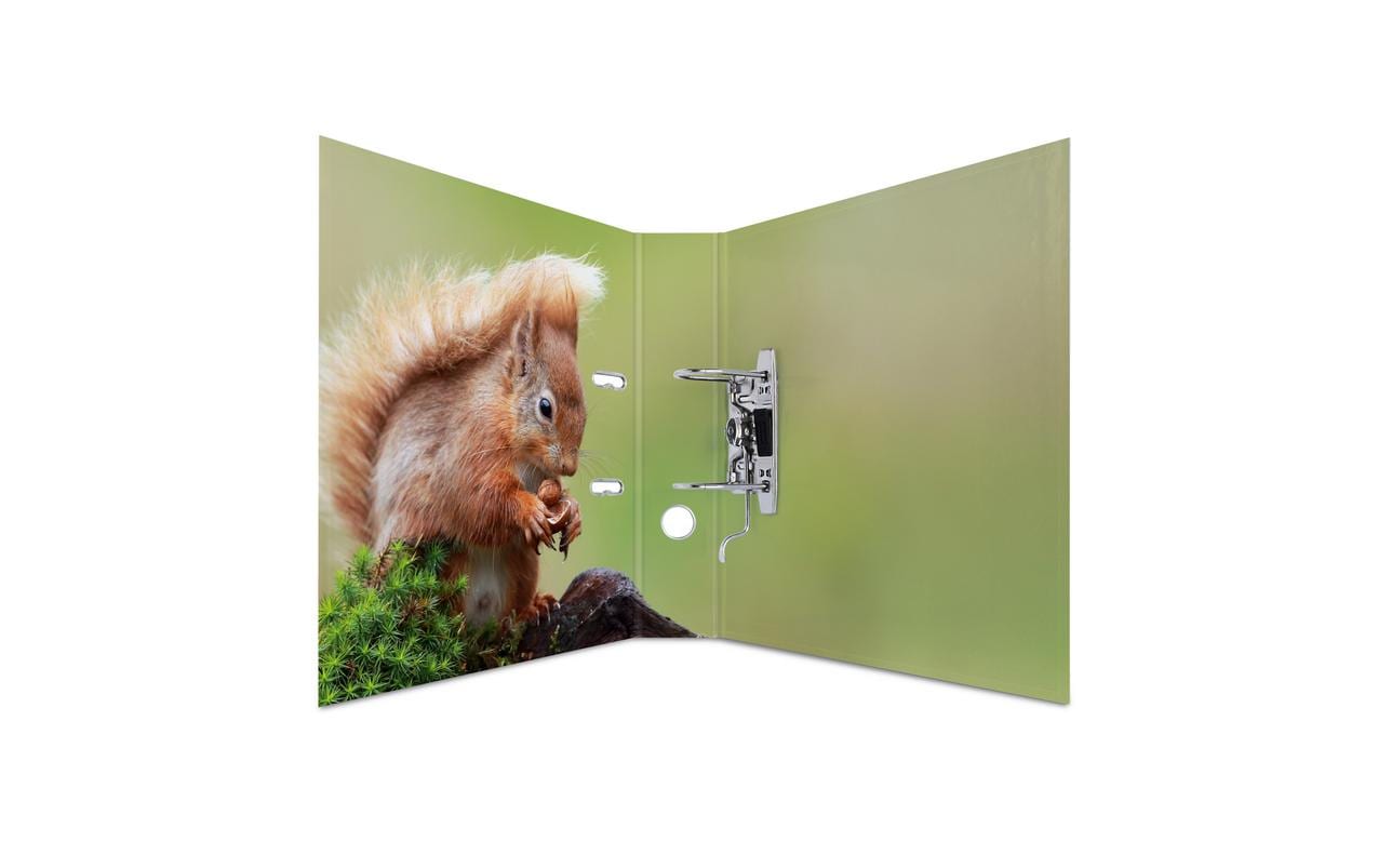 HERMA Ordner Waldtiere 7 cm, Mehrfarbig