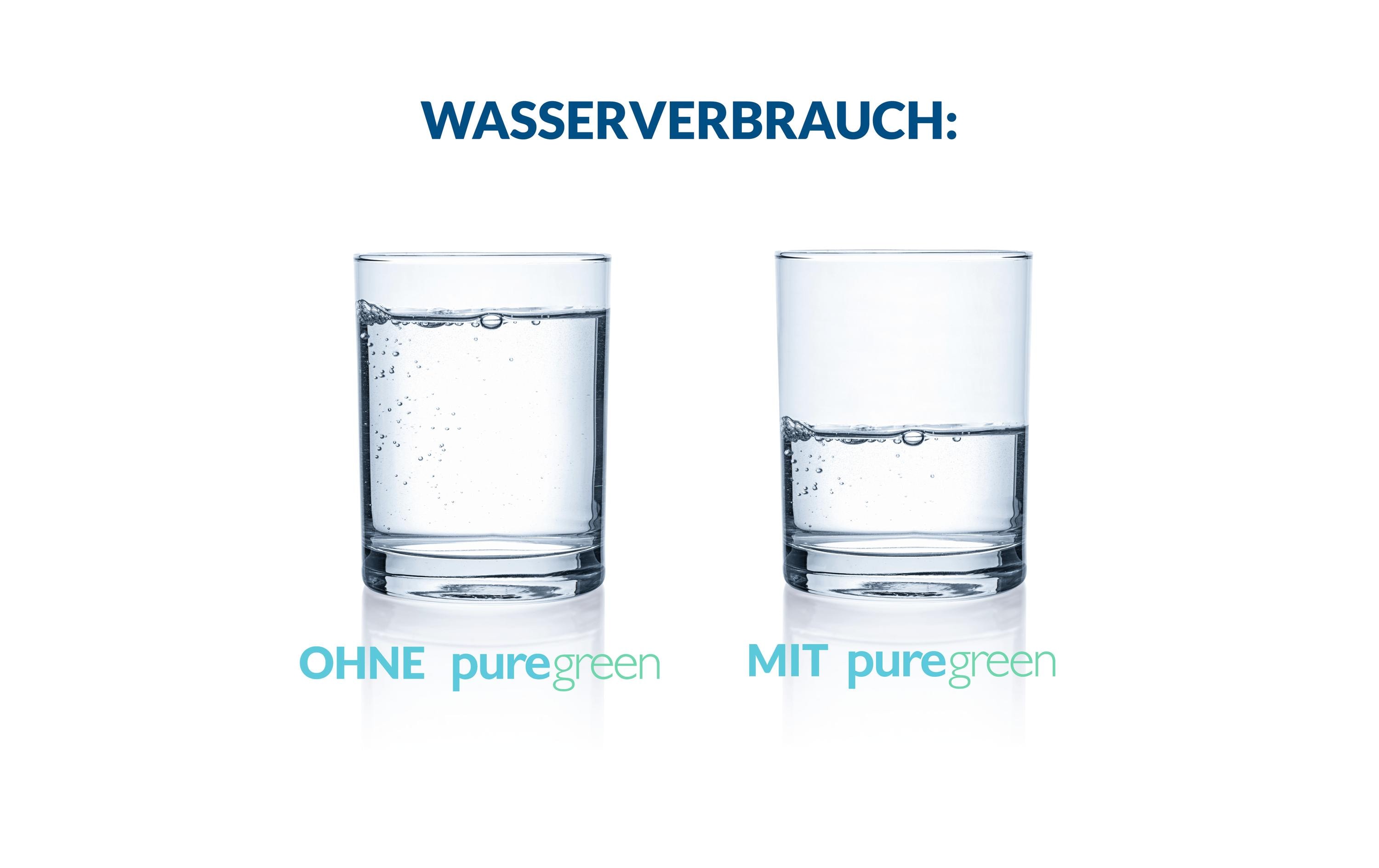 puregreen Wassersparregler