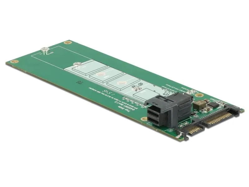 Delock Host Bus Adapter SATA M.2 SSD – M.2 NVMe SSD