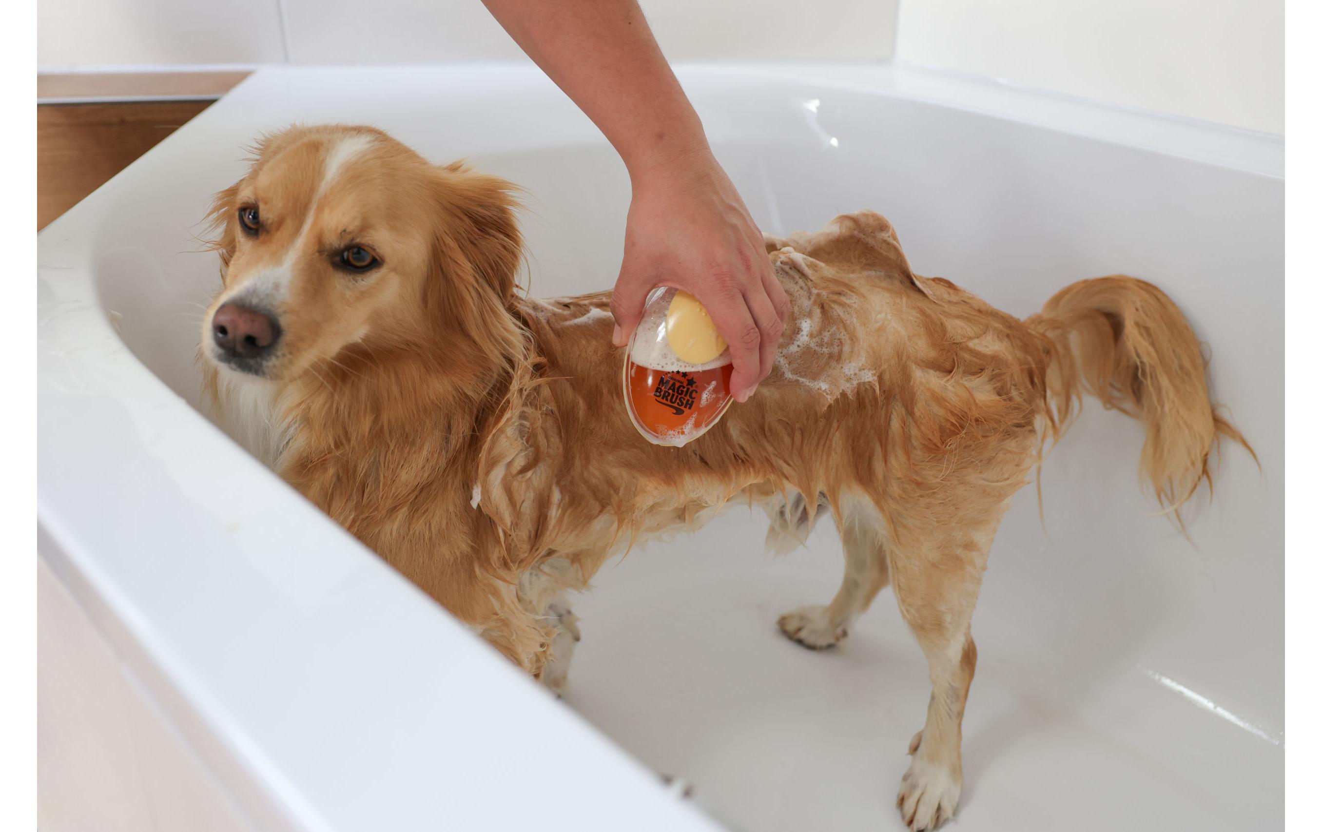 Kerbl MagicBrush Badebürste 11.5 cm x 7.5 cm x 6 cm