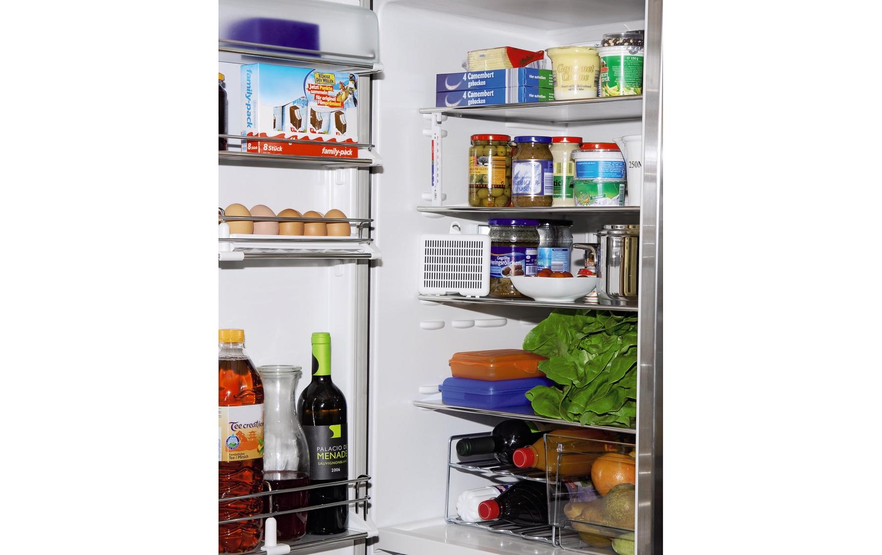 Xavax Kühl- / Gefrierthermometer analog