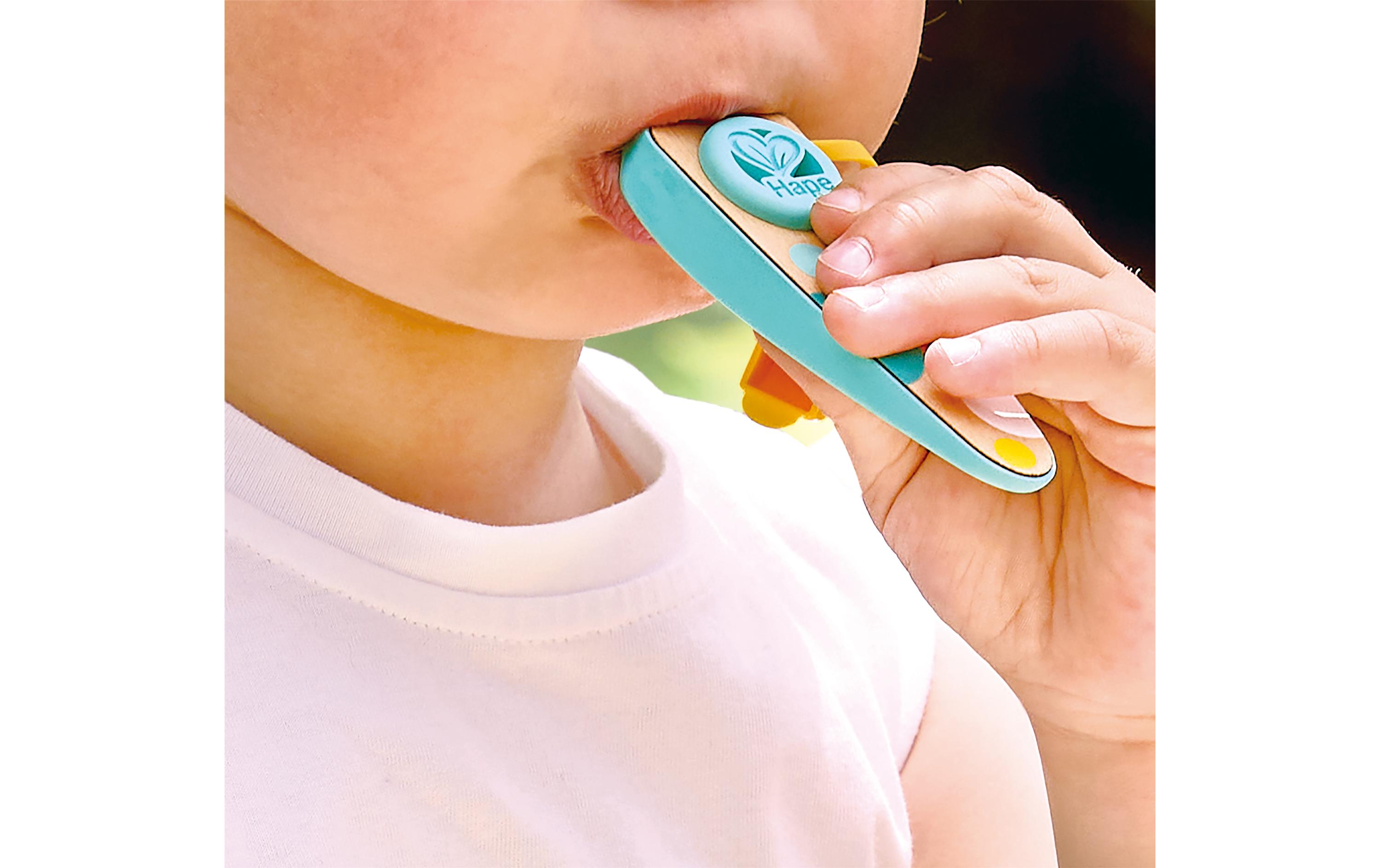 Hape Musikspielzeug Kinder-Kazoo