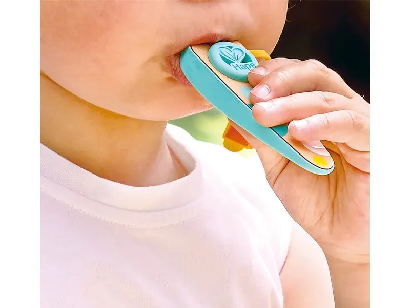 Hape Musikspielzeug Kinder-Kazoo Hape Musikspielzeug Kinder-Kazoo