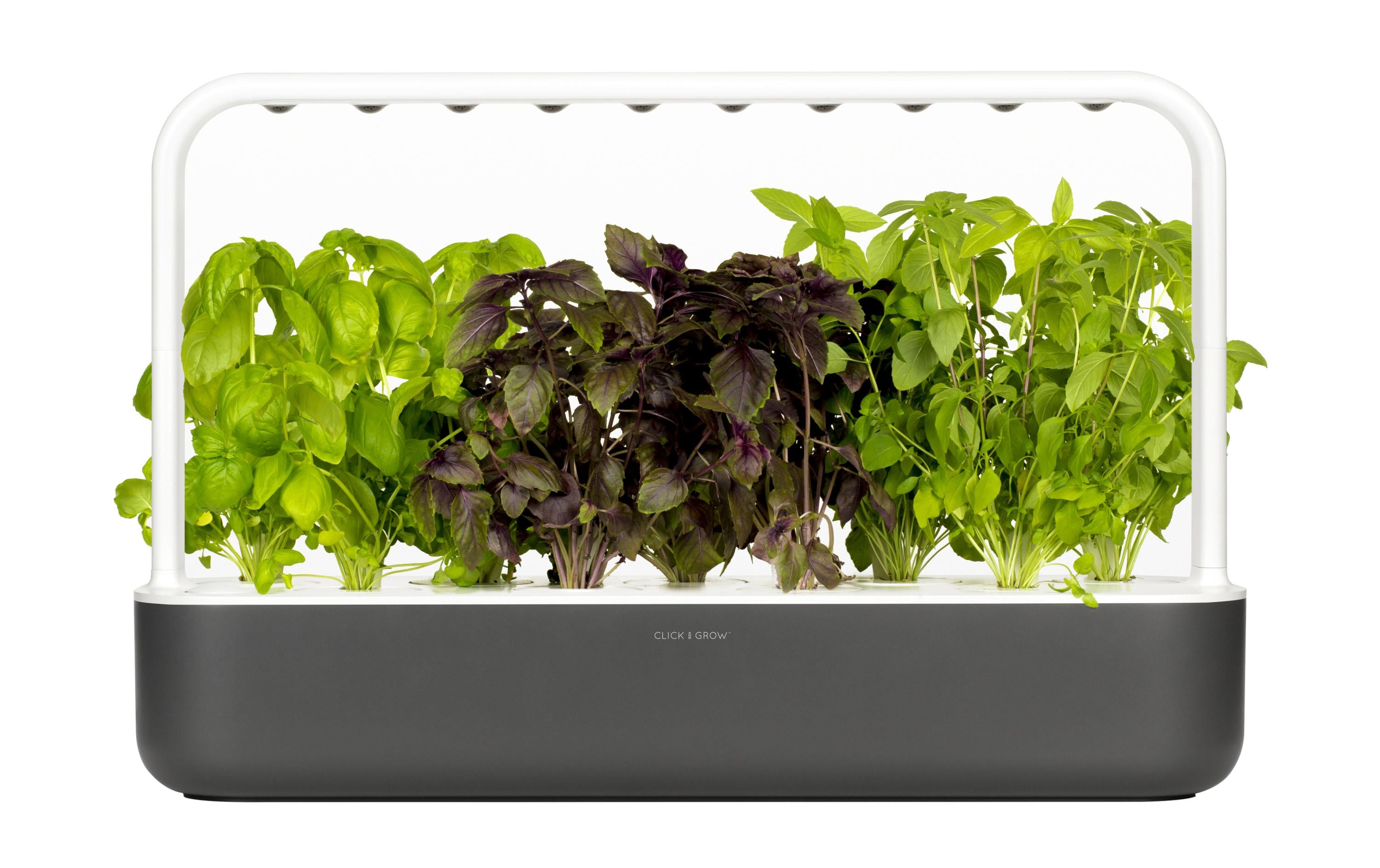 Click and Grow Kräutertopf Smart Garden 9 Dunkelgrau Click and Grow Kräutertopf Smart Garden 9 Dunkelgrau