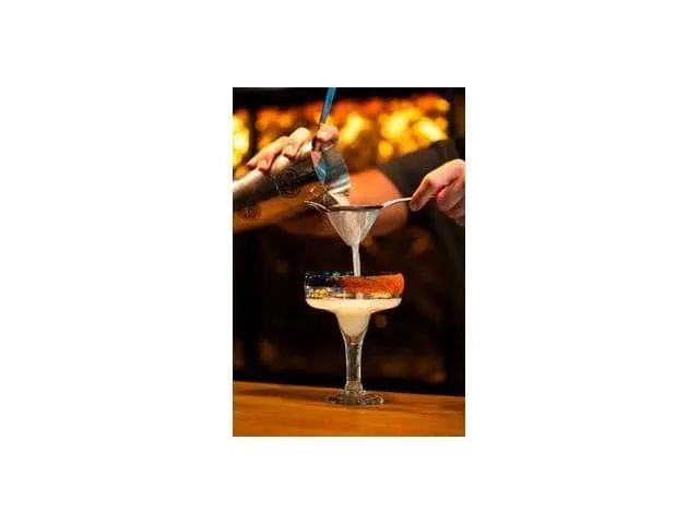 Barprofessional Cocktailsieb 1 Stück, Silber