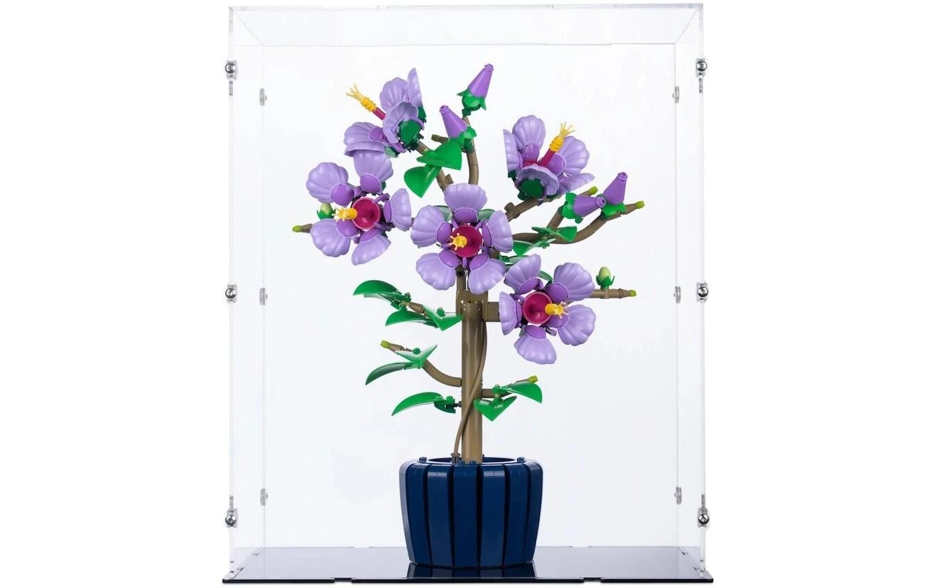 iDisplayit Acryl-Display für LEGO 10372 Hibiskus