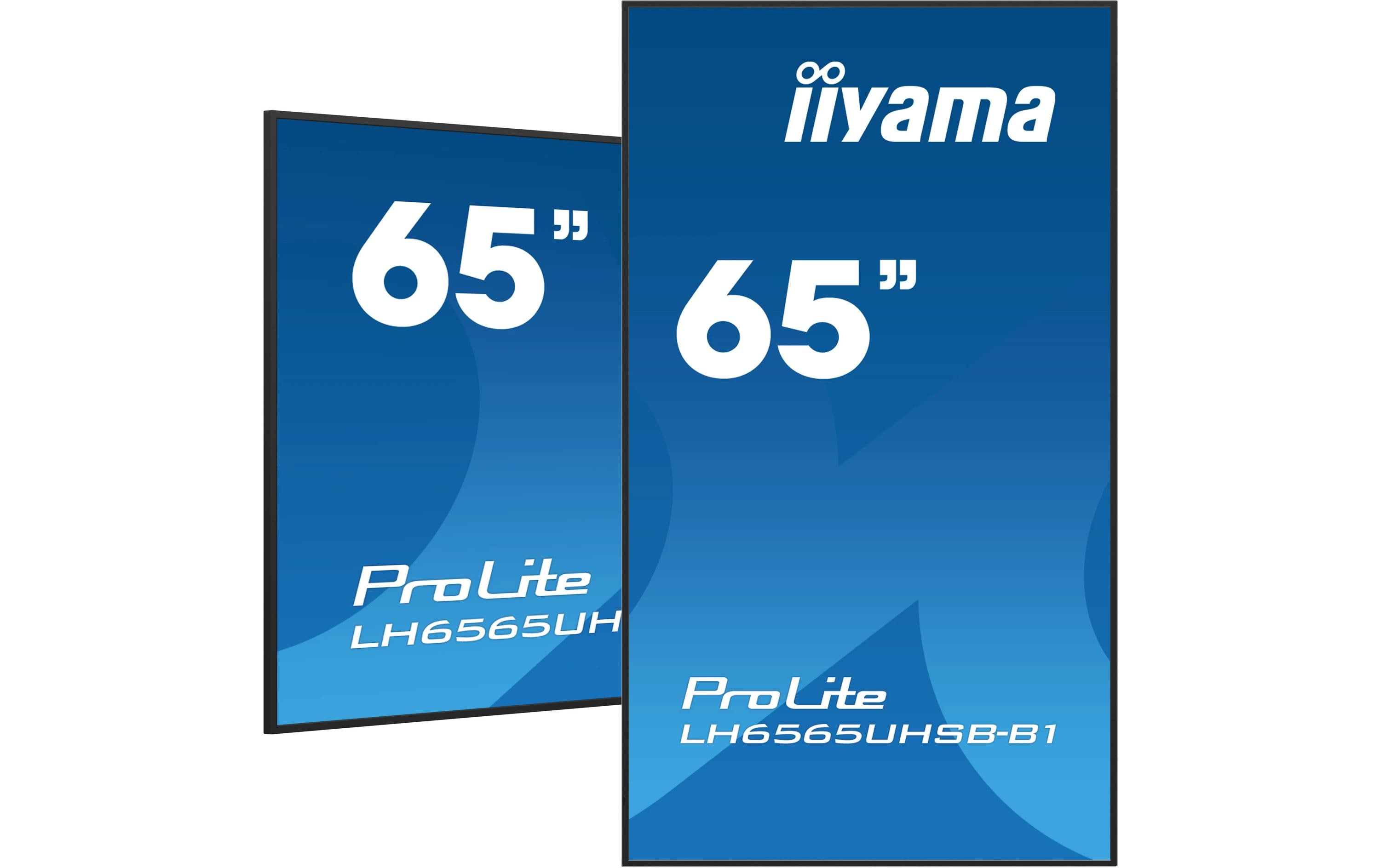 iiyama Public Display Pro Lite LH6565UHSB-B1 64.5