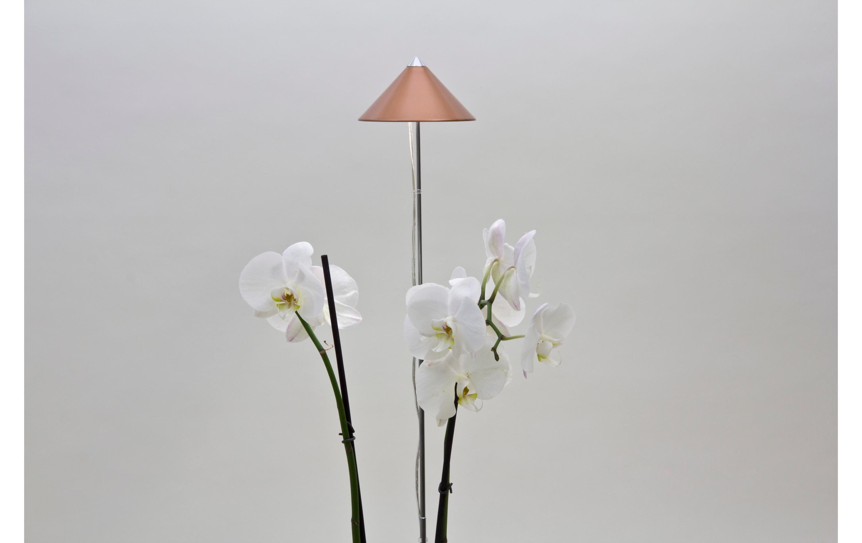 Venso Solutions Pflanzenleuchte SunLite 7 W, Kupfer Venso Solutions Pflanzenleuchte SunLite 7 W, Kupfer