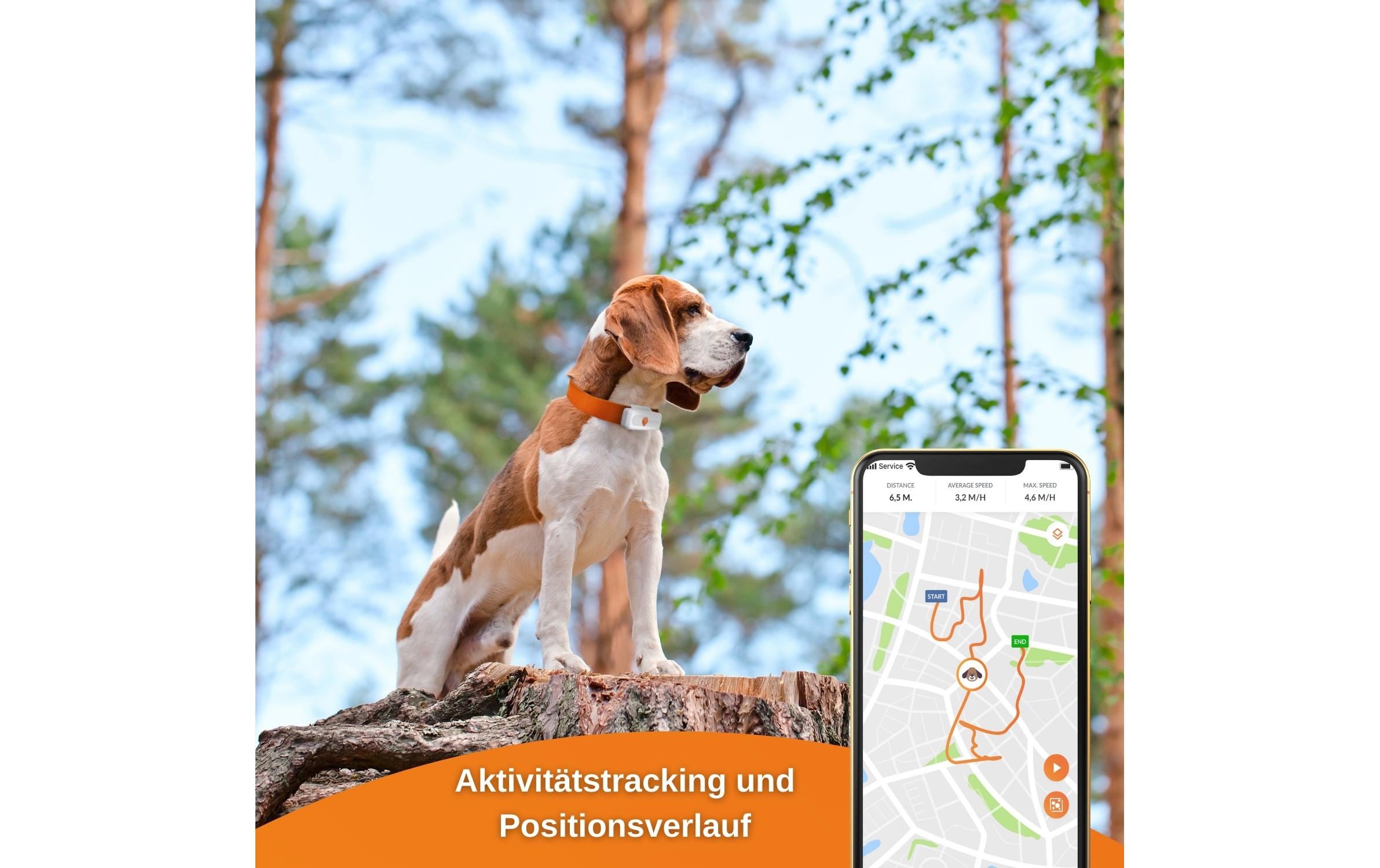 Weenect GPS-Tracker XS für Hunde, Weiss