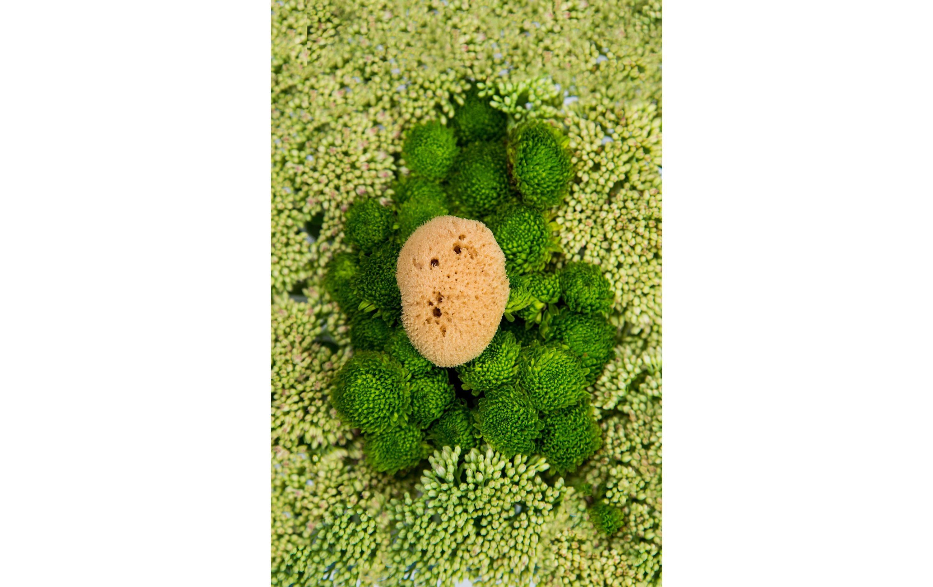 Hera Organics Menstruationsschwamm Grösse S 3 Stück