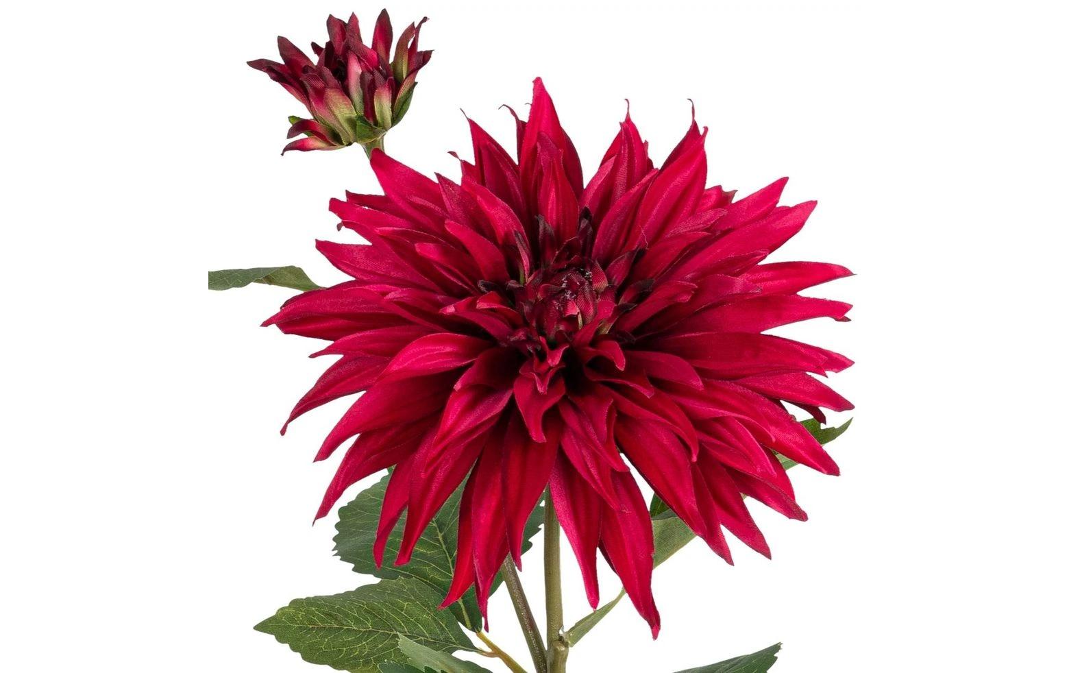 Botanic-Haus Kunstblume Dahlie, Cerise, 85 cm