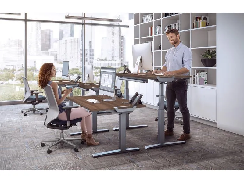 Fellowes Tischplatte Levado 160 x 80 cm, Walnuss