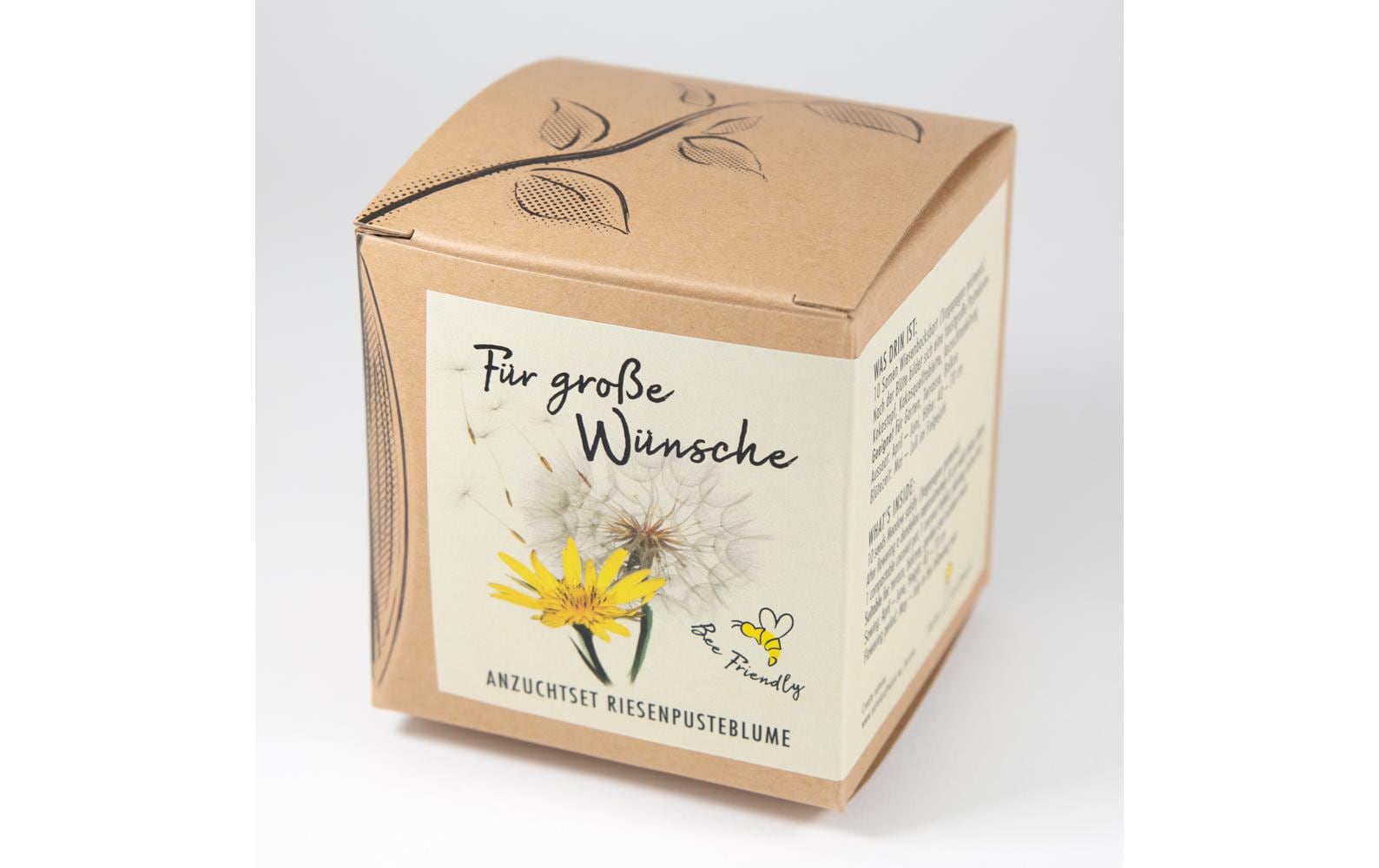 Naturkraftwerk Anzuchtset Für grosse Wünsche mit Riesenpusteblume