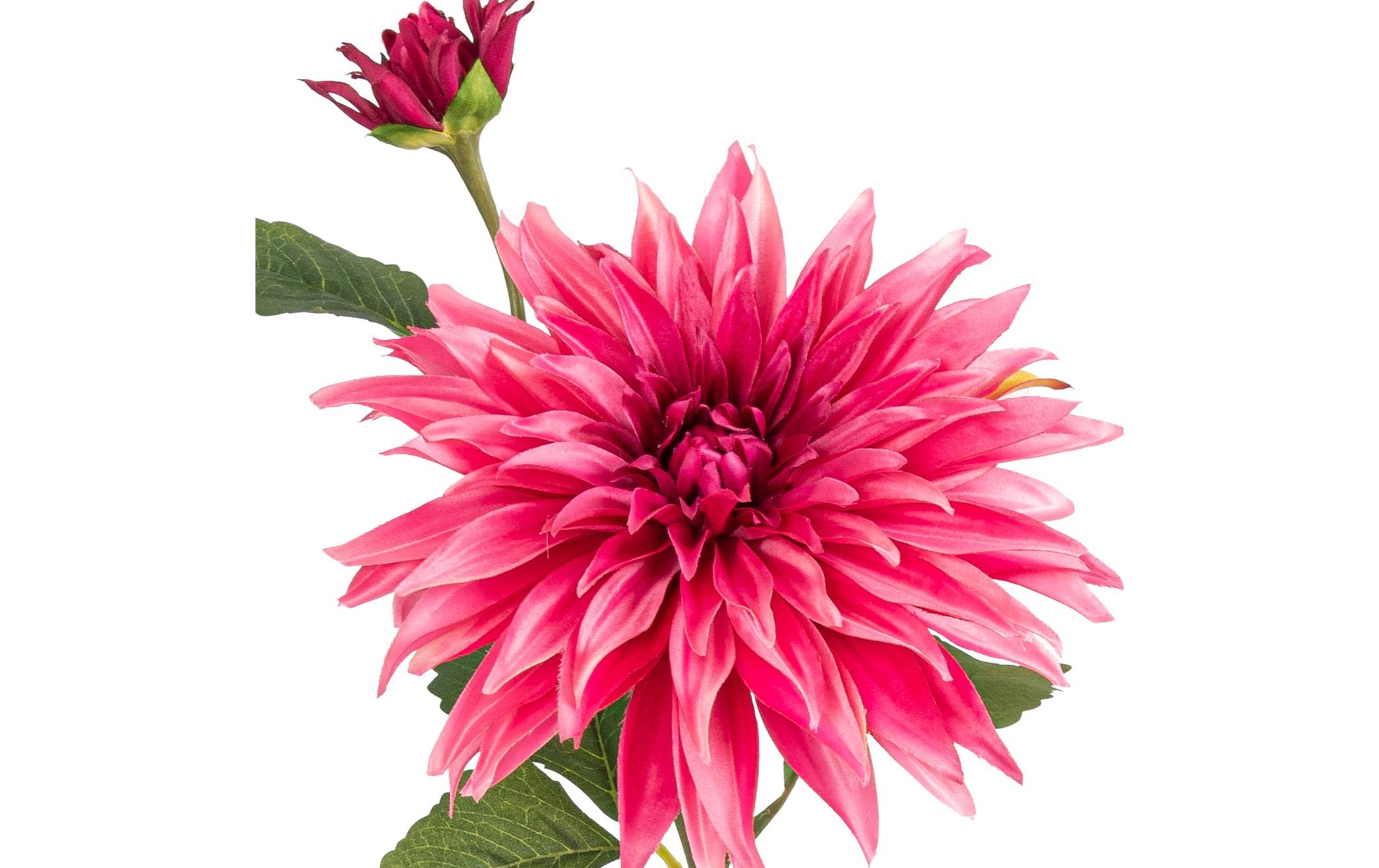 Botanic-Haus Kunstblume Dahlie, Altrosa, 85 cm