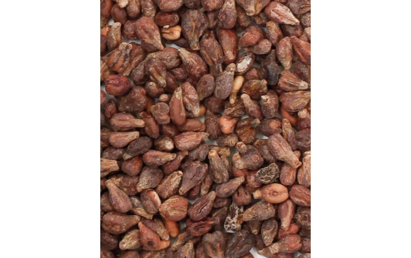 I AM CREATIVE Traubenkerne 500 g I AM CREATIVE Traubenkerne 500 g