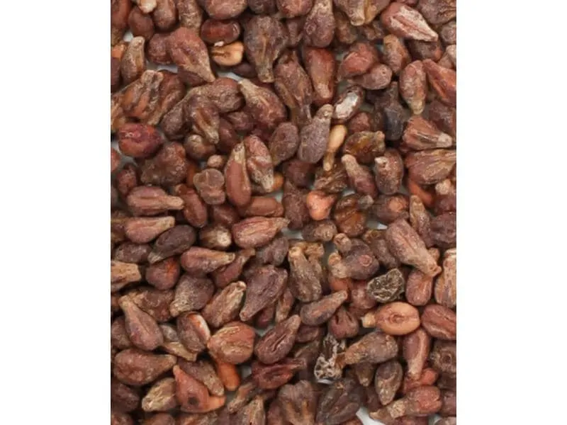 I AM CREATIVE Traubenkerne 500 g I AM CREATIVE Traubenkerne 500 g