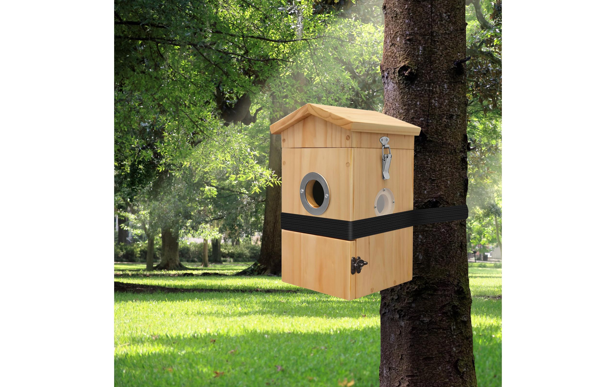 Sanilu Vogel Nistkasten mit Kamera, Solarpanel inklusive