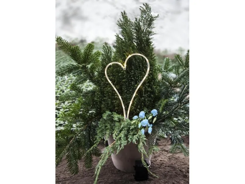 Star Trading Gartenlicht Herz, Weiss Star Trading Gartenlicht Herz, Weiss