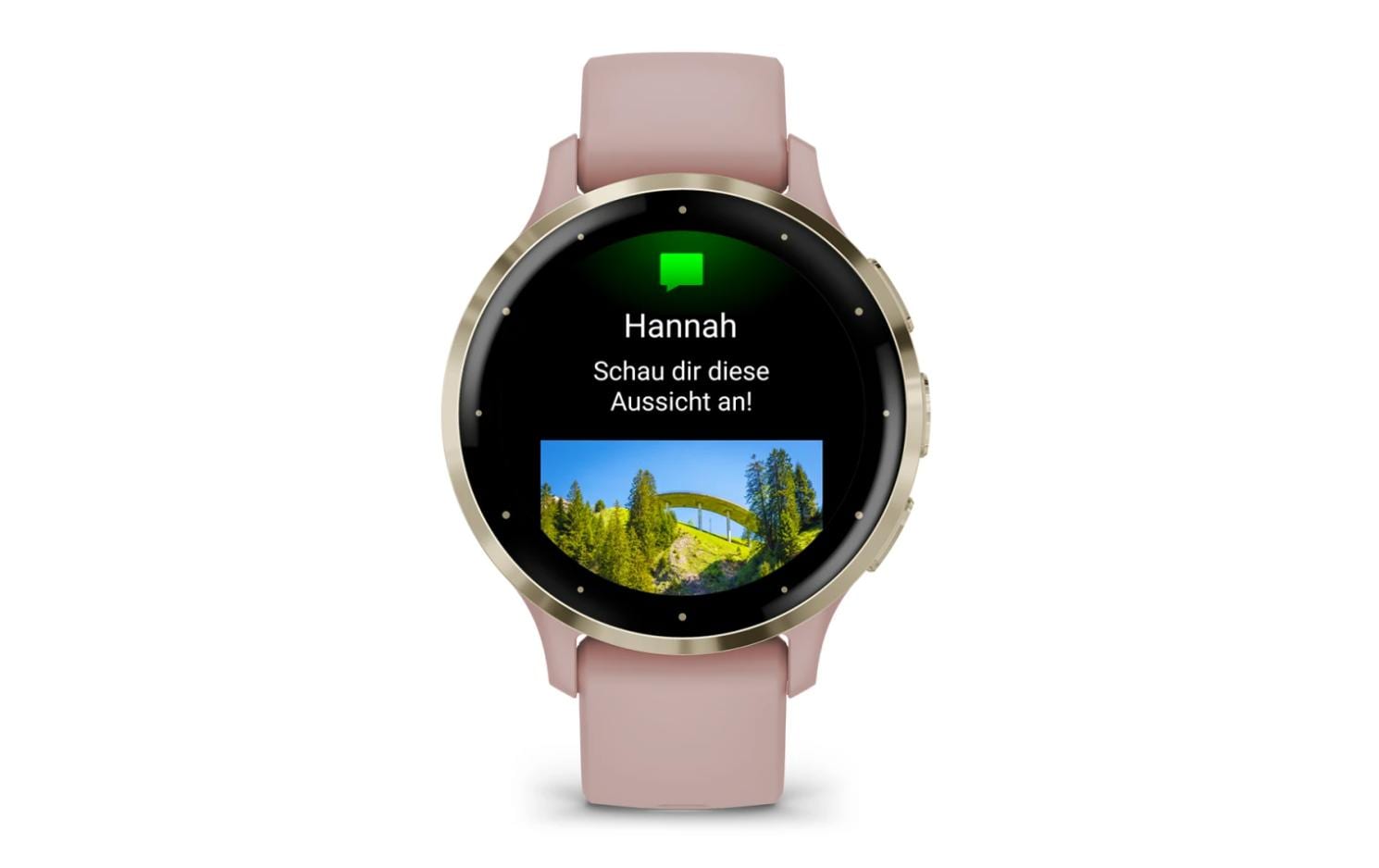 GARMIN Sportuhr Venu 3S Dust Rose / Softgold