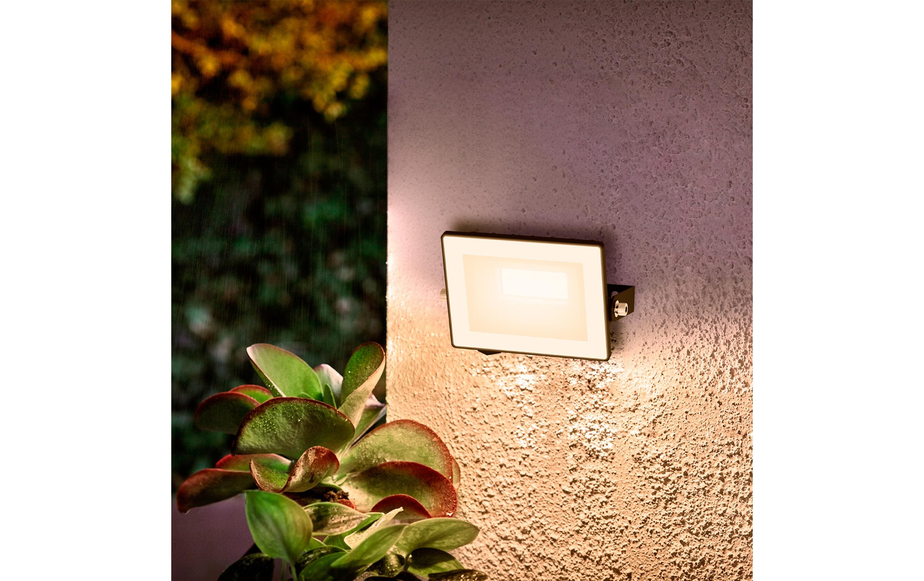 Philips Lois Flutlicht 10W 3000K IP65 10 W