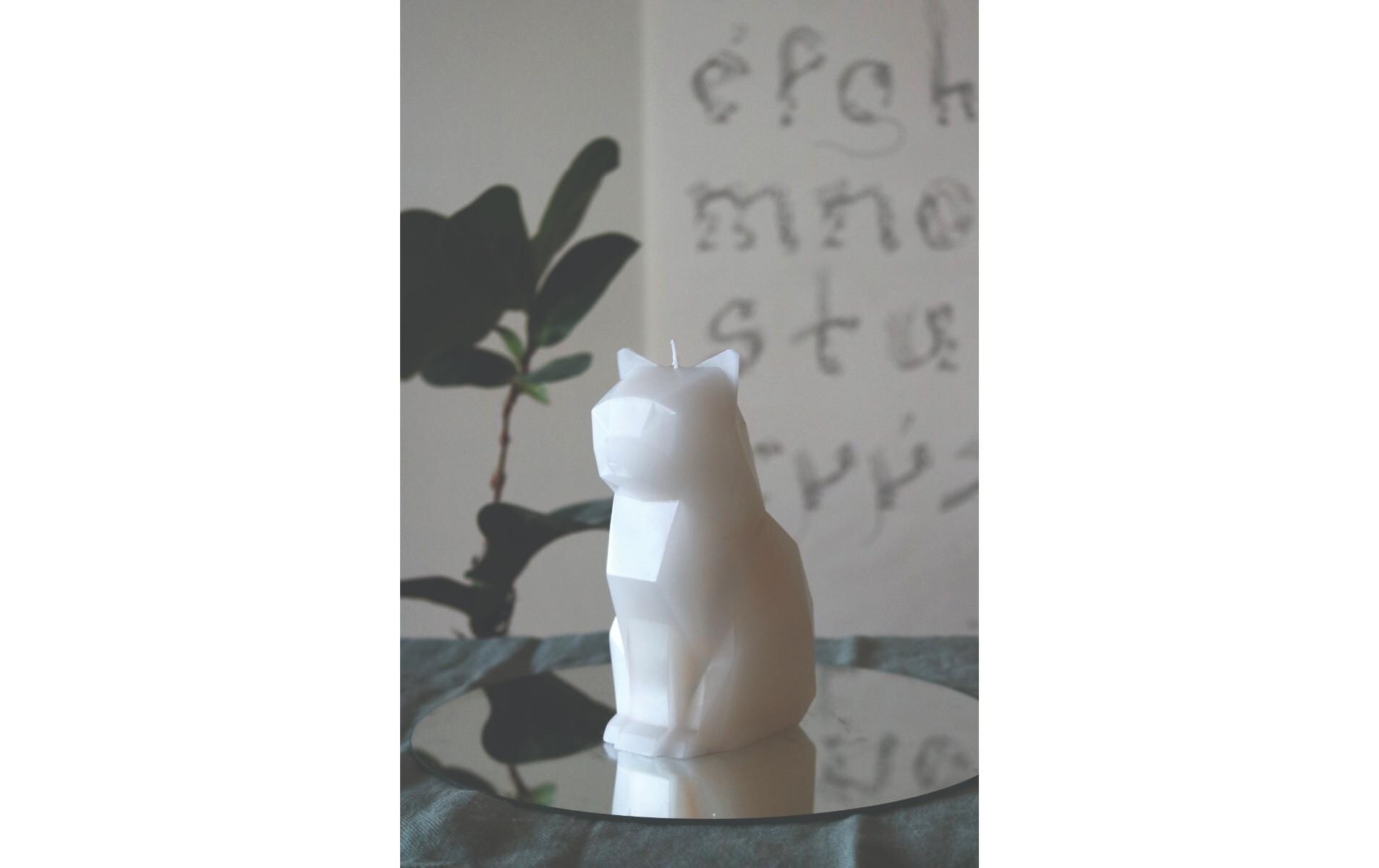 54Celsius Kerze PyroPet Cat Kisa Weiss