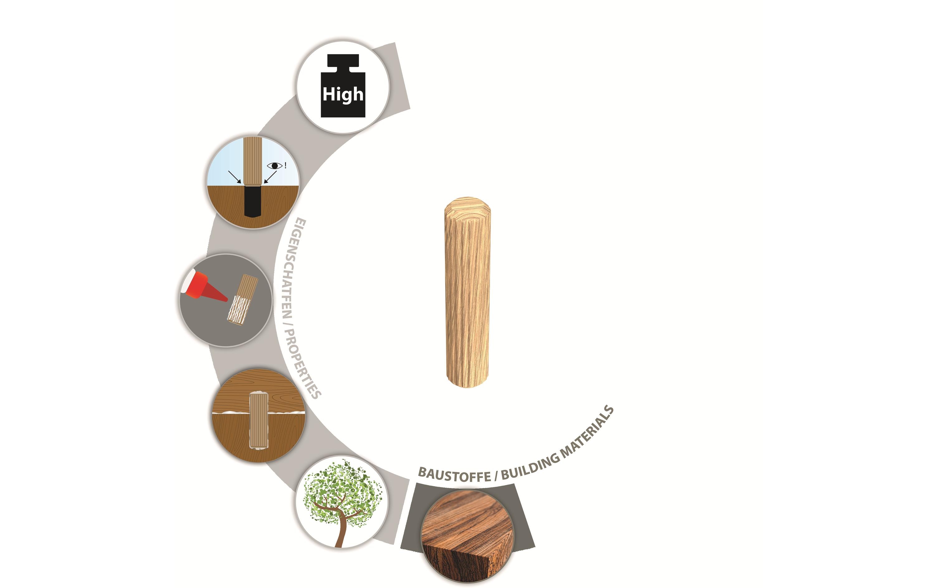 Tox-Dübel Dübel Boltfix 10/40 mm, 80 Stück