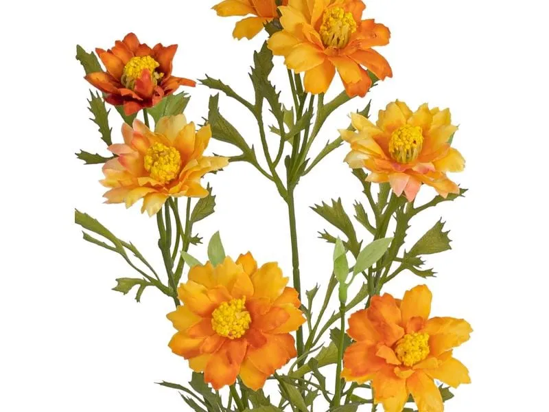 Botanic-Haus Kunstblume Blütenzweig Orange, 68 cm Botanic-Haus Kunstblume Blütenzweig Orange, 68 cm