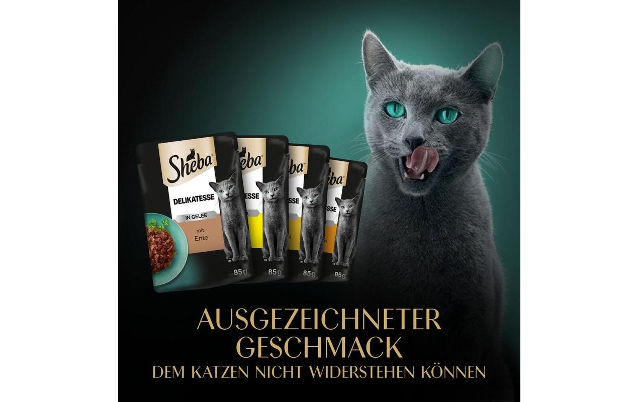 Sheba Nassfutter Delikatesse Gelee Geflügel Variation, 12 x 85g