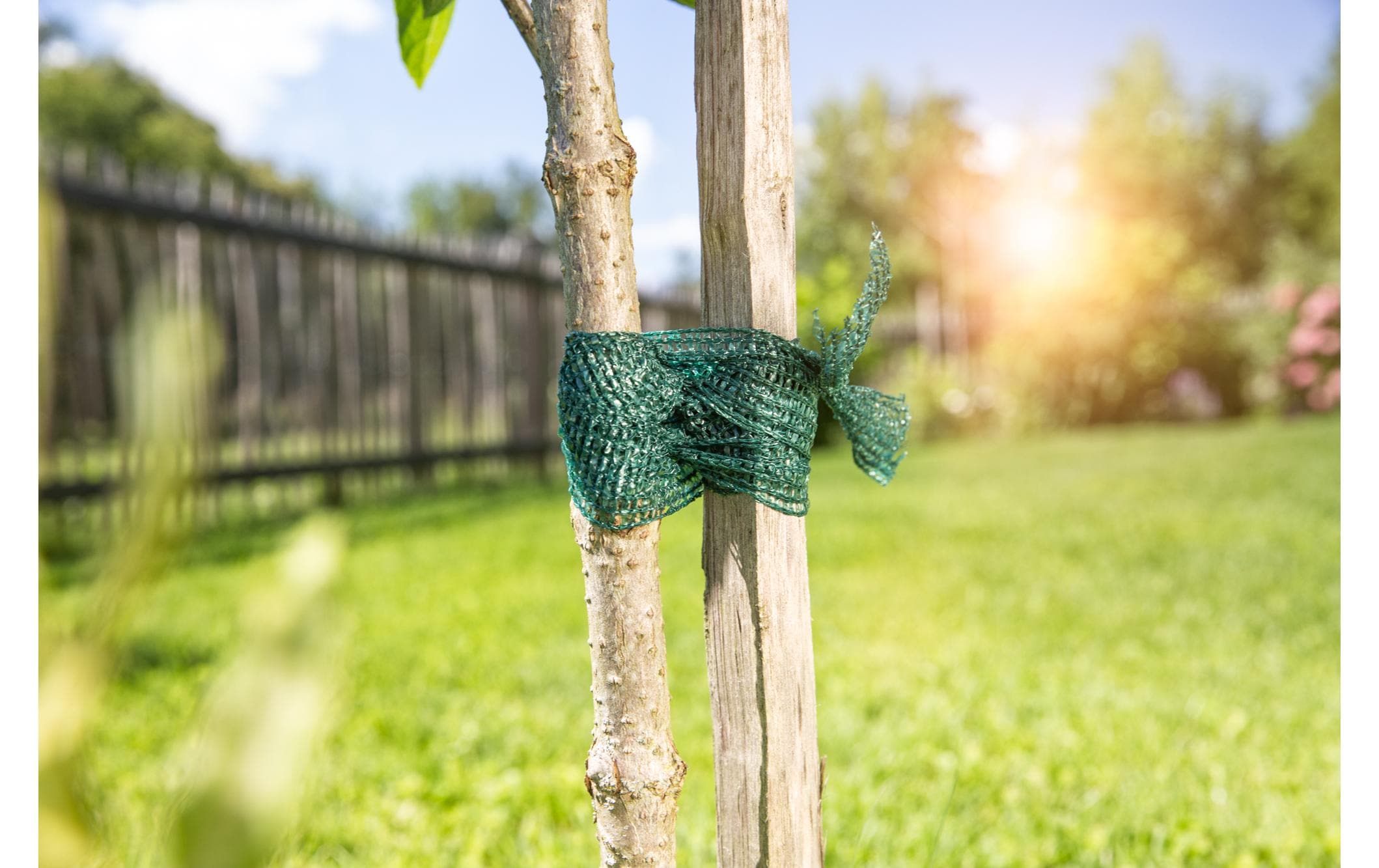 Windhager Baumanbinder 50 m Windhager Baumanbinder 50 m