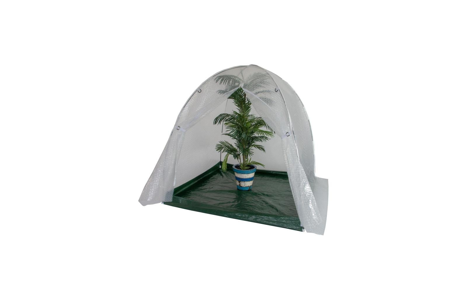Colibri Winter Dome 150 x 150 x 150 cm