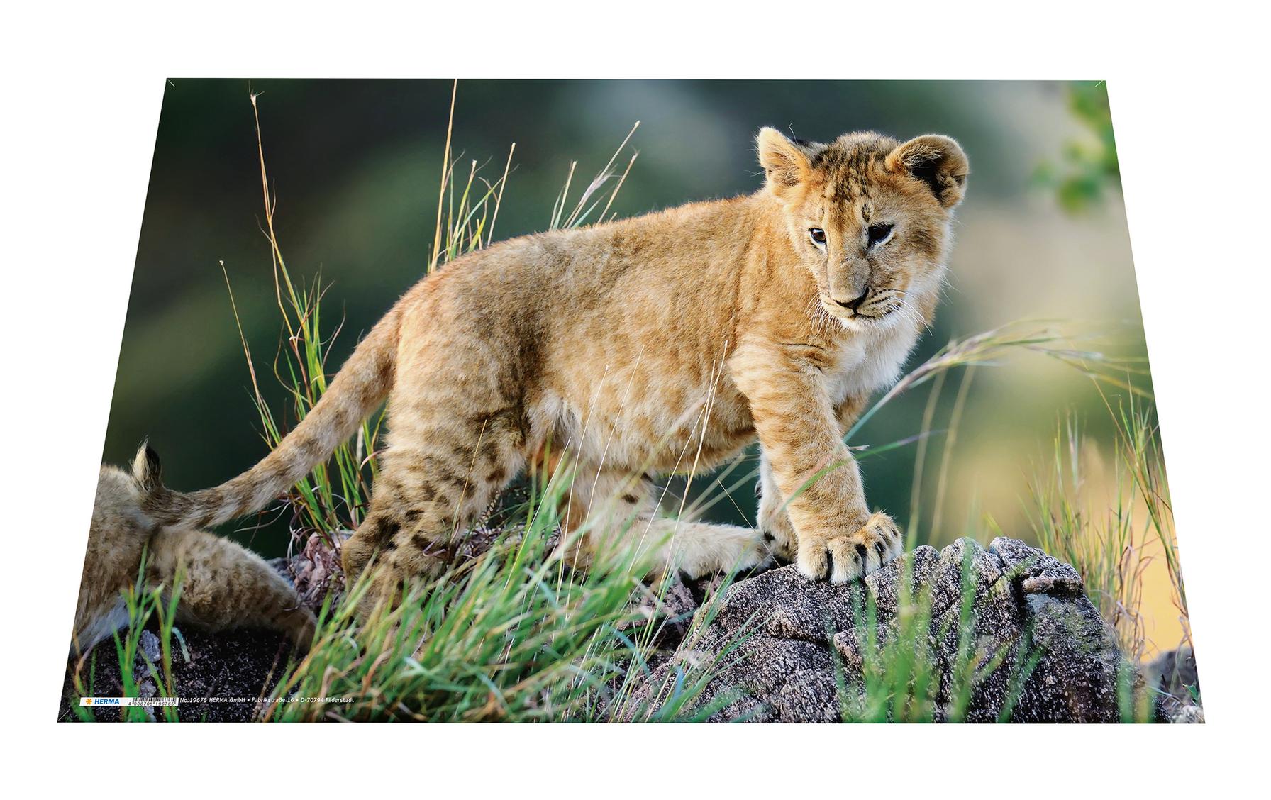 HERMA Schreibunterlage Afrika Tiere 55 x 35 cm