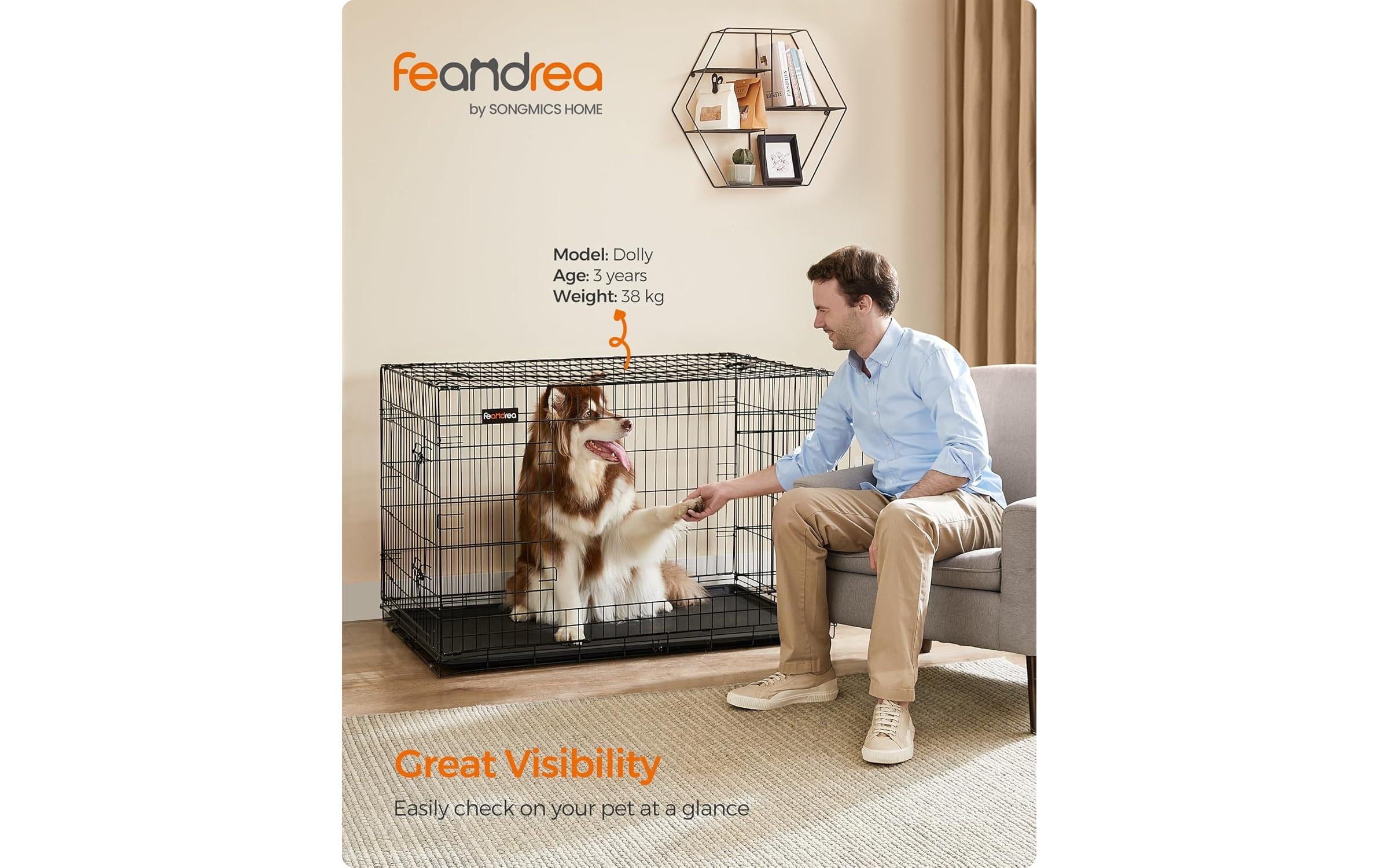 Feandrea Transportbox für Hunde 122 x 74.5 x 80.5 cm Feandrea Transportbox für Hunde 122 x 74.5 x 80.5 cm