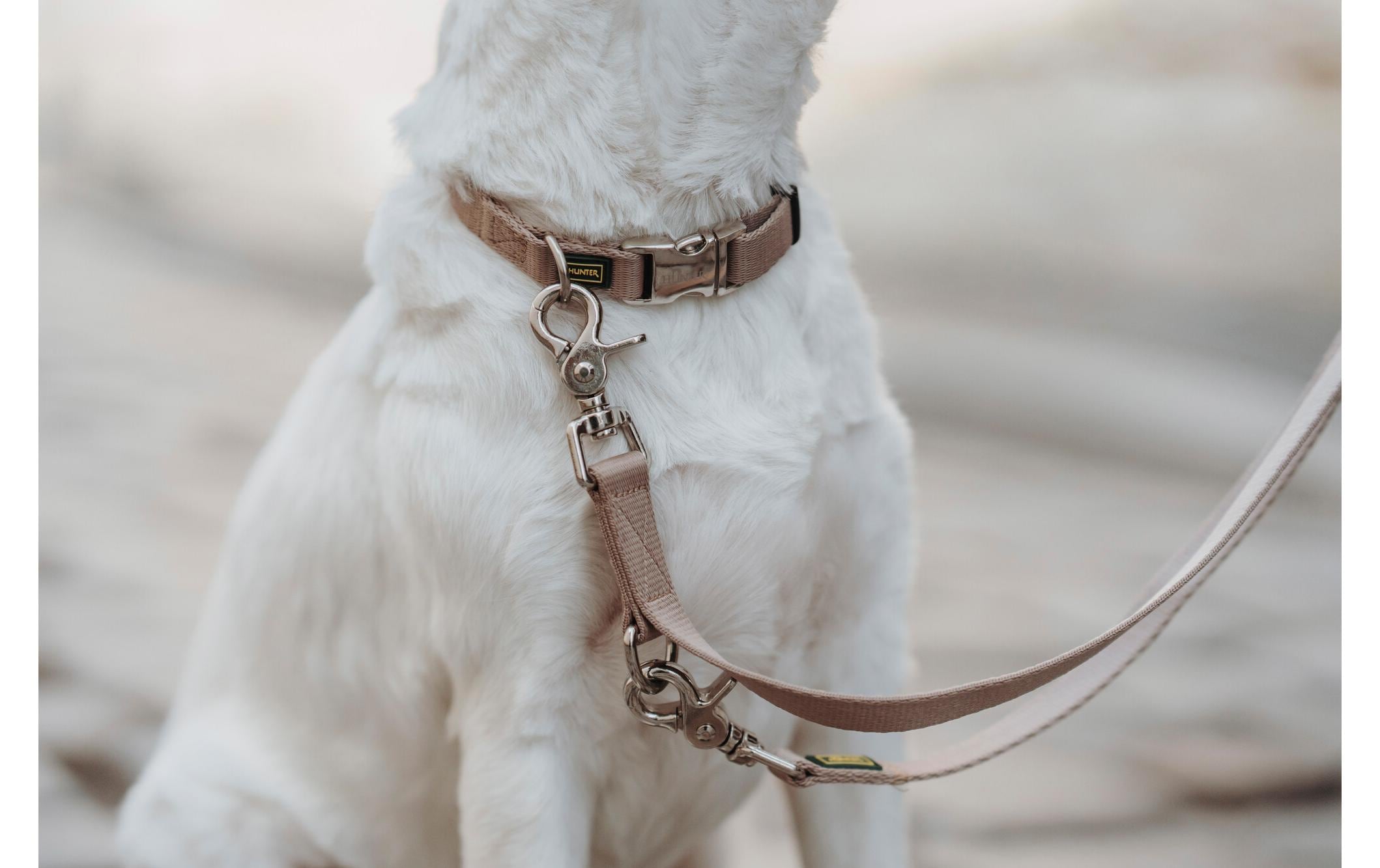 Hunter Verstellbare Führleine Inari, 25/200, Beige