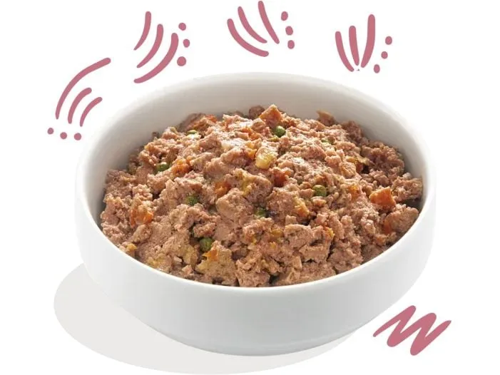 Edgard & Cooper Nassfutter Junior Ente + Huhn, 11 x 150 g