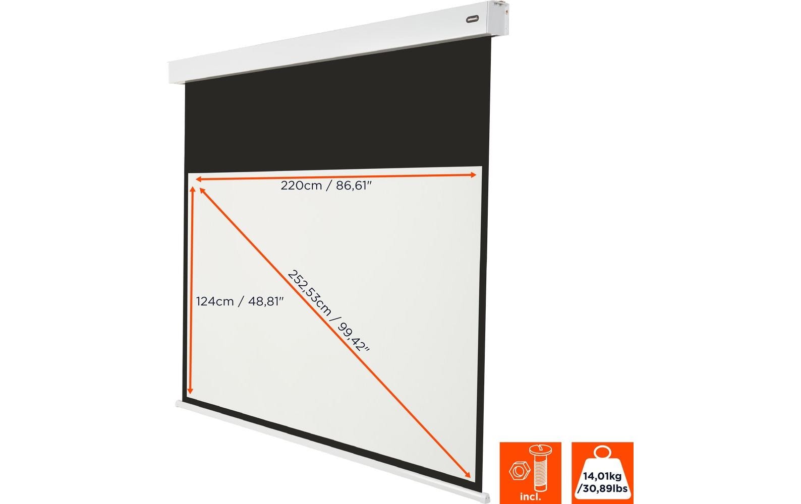 Celexon Motorleinwand Batterie V2.0 Motor Pro Plus 220x124 cm 16:9