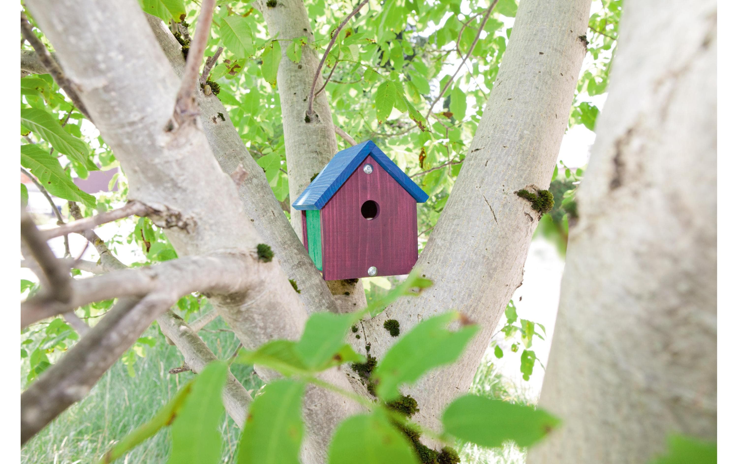 Windhager Nistkasten Bausatz for Kids