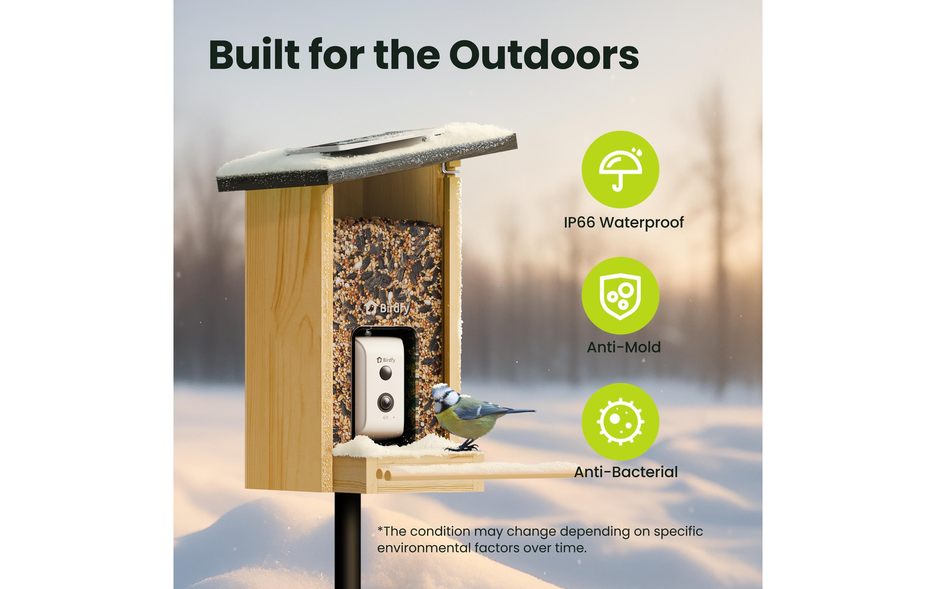 Birdfy FSC Vogelfutterhaus mit AI-Kamera