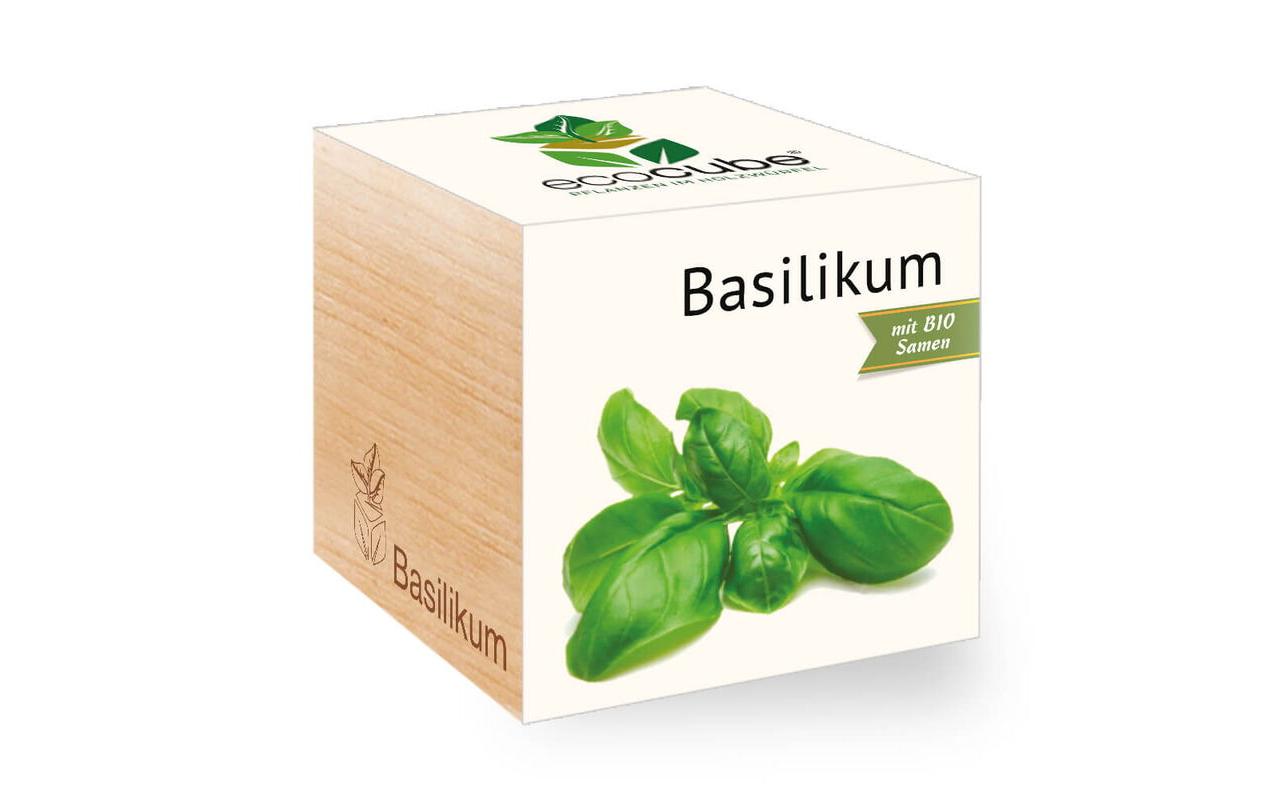 Feel Green Ecocube Basilikum BIO Feel Green Ecocube Basilikum BIO