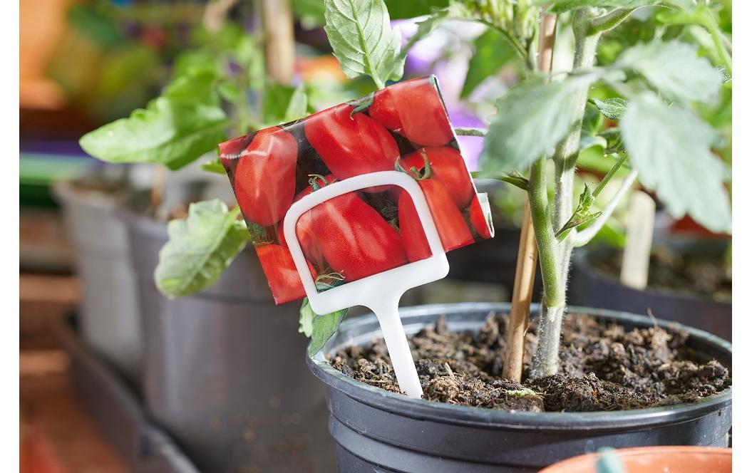 Samen Mauser T-Etiketten, 10 Stück, 12.5 cm Samen Mauser T-Etiketten, 10 Stück, 12.5 cm