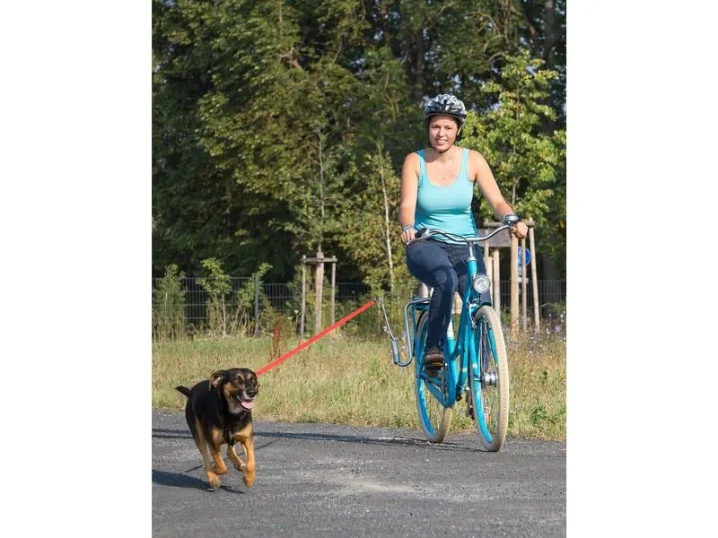 M-Wave Halter für Sattelstange Dog Walk